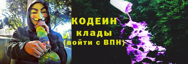 тгк Пересвет