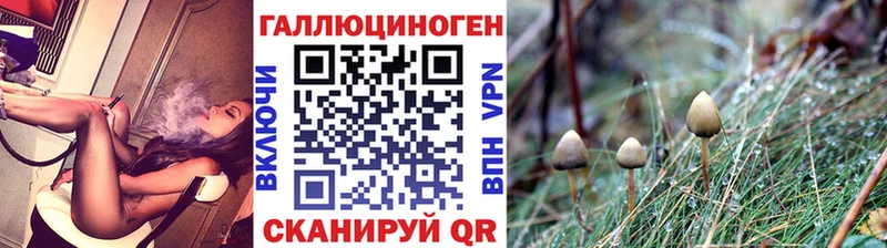 это формула  наркотики  Очёр  Псилоцибиновые грибы мицелий  MEGA tor 